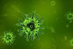 Virus